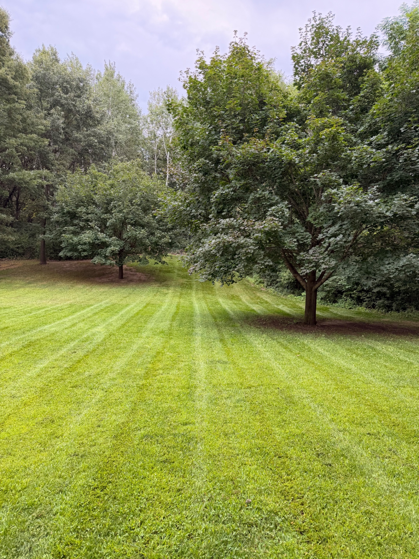 Backyard lawn with clean mowing stripes after a North Star Turf visit
